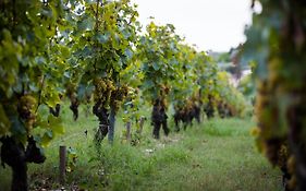 Gîte au milieu des vignes